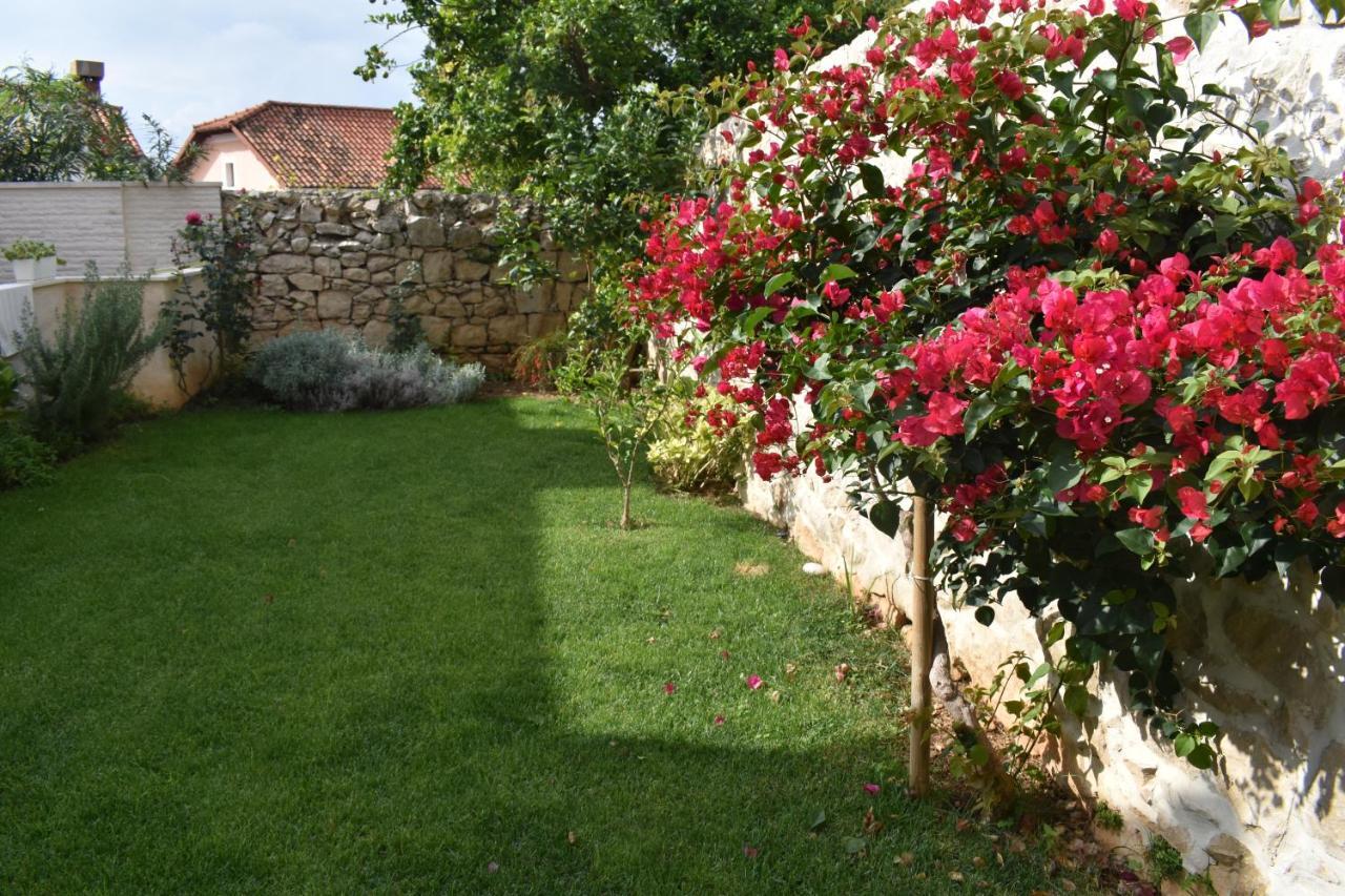 Apartament Charming Stone House In Cavtat Old Town Zewnętrze zdjęcie